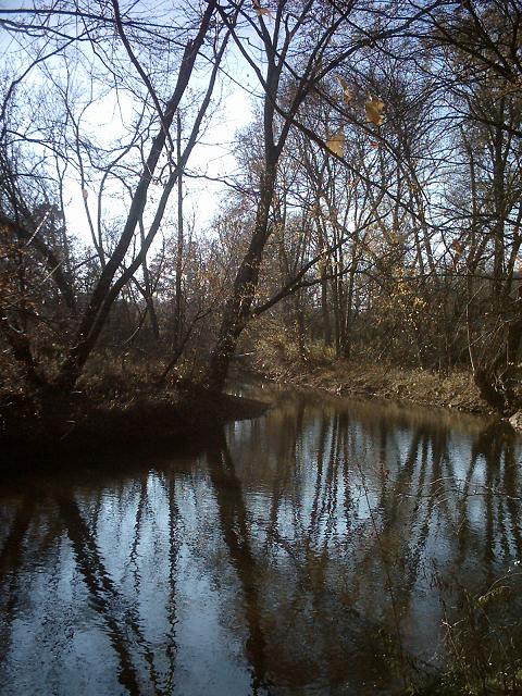 Skaggs Creek Nov9