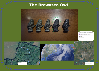 Brownsea Owl
It's the little things.
