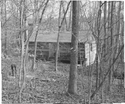 Lower Cabin Winter  1957
