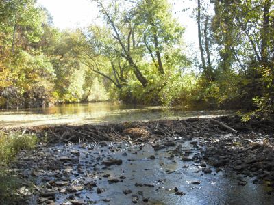 Beaver Dam on Skaggs Oct 2008
