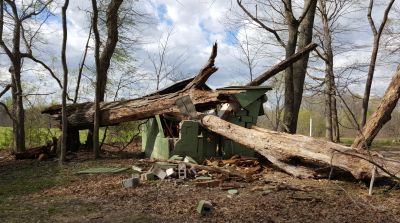 Damaged Cabin
Tree fallen from storm damage.
