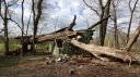 Filename=Scout_cabin_damage.jpg
Filesize=793KiB
Dimensions=1908x1067
Date added=Jun 22, 2026 Scout_cabin_damage.jpg